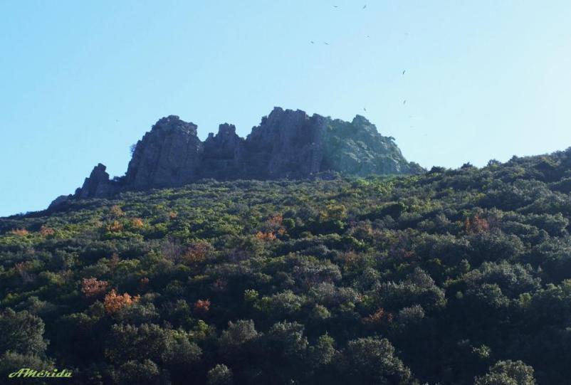 Sierra de Cordoneros